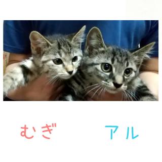 �L�肢�y8���㔼�z �̃T���l�C���摜