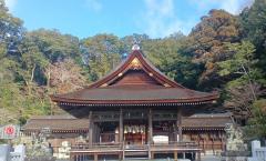 �P��22���@�^���̃T���l�C���摜