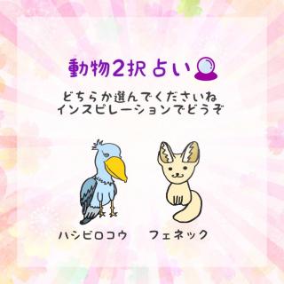 ����2��肢�I�A�h�o�C�X���ǂ������̃T���l�C���摜