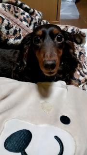 Q7@^̃TlC摜