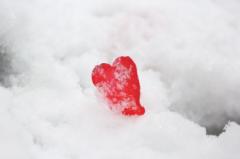 ��������ɂ͂̃T���l�C���摜