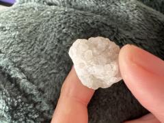 [����]�����_���܂̌�삪��ǂ肵��΂̃T���l�C���摜