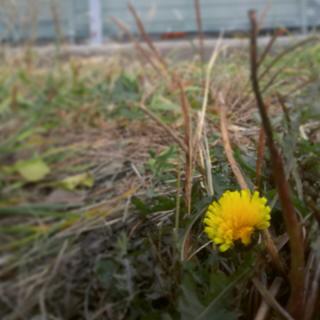 20�΂̔L�̃T���l�C���摜