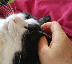 �����̃^�C�~���O�̃T���l�C���摜