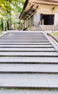 ��藷�s�@����ƌ����΂����I�������̃T���l�C���摜