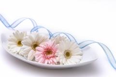 �������܂������Ȃ������̂m�f�s���̃T���l�C���摜