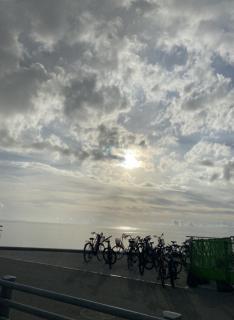 �R���i�Ђ̃T���l�C���摜