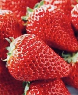 ��]�������܂��IR4.1.15���̂̃T���l�C���摜