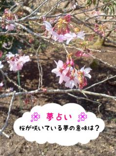 �y���肢�z�����炢�Ă��閲�̈Ӗ��́H�̃T���l�C���摜