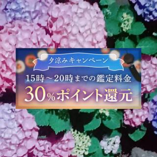 �y�[���݃L�����y�[���z�̃T���l�C���摜