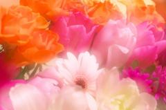 ���O�̗R���́E�E�E�H�̃T���l�C���摜