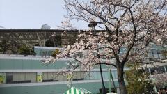 ���̏����͂̃T���l�C���摜