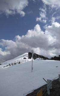 �_����ɓ͂��Ƃ���ɂ̃T���l�C���摜