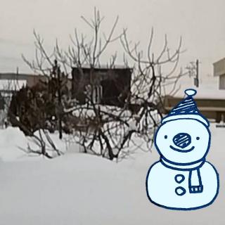 ��̌����ʂ��Ċ�����V�̈��̃T���l�C���摜
