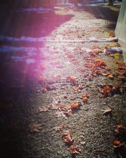 ���ǂ�����̃T���l�C���摜