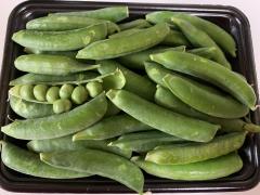 �O�����s�[�X�̃T���l�C���摜