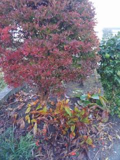 �ŋ��E�V�W�}����̃T���l�C���摜