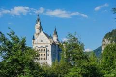 �w�����̓��LNo.12�̃T���l�C���摜