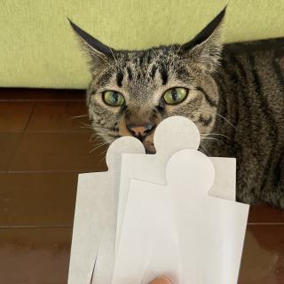 ͔NzPI^C̑|ĨTlC摜