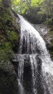 ���C�̐����p�[�g�Q�̃T���l�C���摜