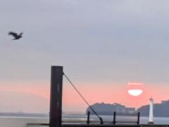 �^�C�~���O�̃Y���́c�̃T���l�C���摜