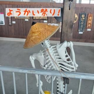 �肢�t�A�d���Ƒ����I�̃T���l�C���摜