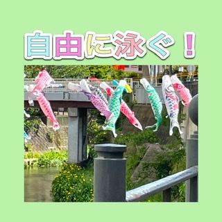 ����͖����Ē�������.5.5���̂̃T���l�C���摜