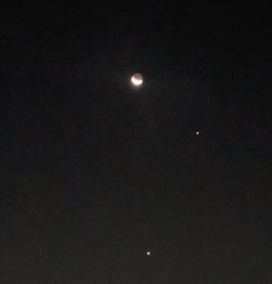 �΋��͂̃T���l�C���摜