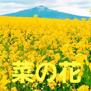 ���邾���Ō��C�ɂȂ�摜�̃T���l�C���摜