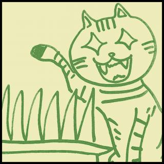 �y�L���z����̗Ǖi�̃T���l�C���摜