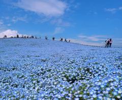 �F�̐[���Ӗ��̃T���l�C���摜