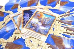 weekly�����ʐ肢 1/2-8�̃T���l�C���摜