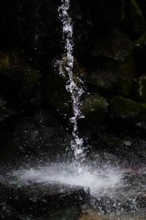 �ō��ɗǂ����̃T���l�C���摜