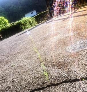 ��������聙�̃T���l�C���摜
