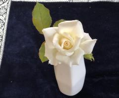 �Ď��Ɍ����ẴT���l�C���摜