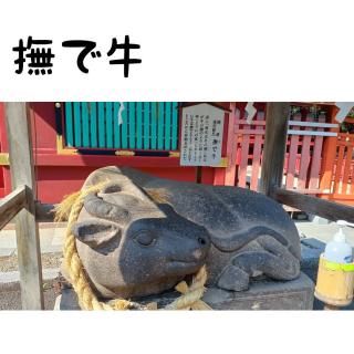 �����E�{�闷�D�d�}�_�Ђ̕��ŋ�����̃T���l�C���摜