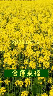 �y���^�A�b�v�I�z�K���I�؂̉ԉ摜���̃T���l�C���摜