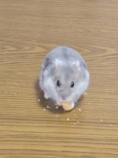  3��7���A8���̉^���̃T���l�C���摜