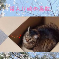 �����薺�������f�B���O�ɏh��e�̊肢�̃T���l�C���摜