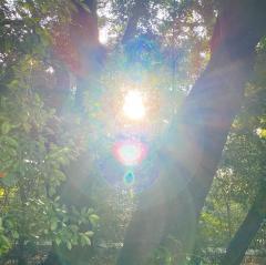 QQ𐮗ڂ悤ĨTlC摜