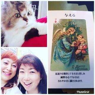 �_�l����̃��b�Z�[�W�̃T���l�C���摜