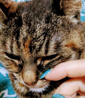 ���Ȃ��̍K���̃T���l�C���摜