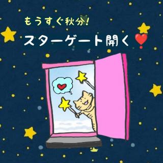 ���������H���I�X�^�[�Q�[�g�J�����̃T���l�C���摜