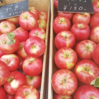 ��񂲂̋G�߂ł��̃T���l�C���摜