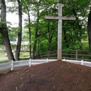 �V�����T�@�X���̎R���ŏ\���˂����т���̃T���l�C���摜