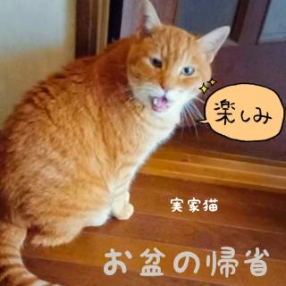 �y���Ɓz���~�̋A�Ȏ��̊y���݂̃T���l�C���摜