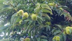 �����������Ƃ��̃T���l�C���摜