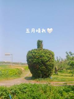 �u�܌�����v�͔~�J�̌��t�H5���̋�̔閧�̃T���l�C���摜