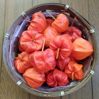 ���ƂɂĂP�@�ꂪ�ق��������ꂽ�b�̃T���l�C���摜