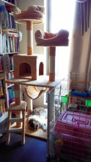 �C�����̂����ꏊ�̃T���l�C���摜